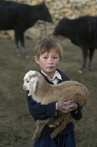 Bamian province, Afghanistan, 2006.