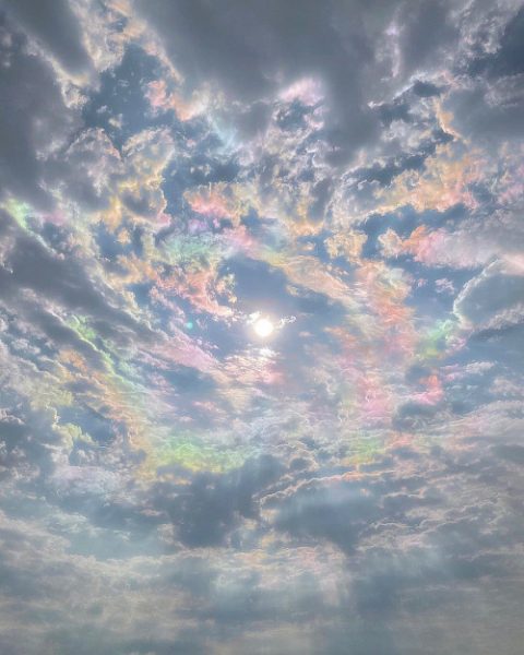 tumblr_95238bdd3b9e601ec5858fa9bd2c23d2_bfb96d5d_500