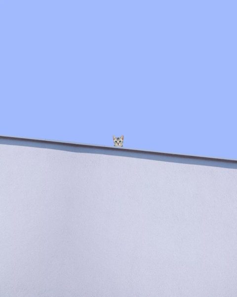 tumblr_4c4031aa00c5f229b64cd95630d7ed81_b5d4ea69_1280