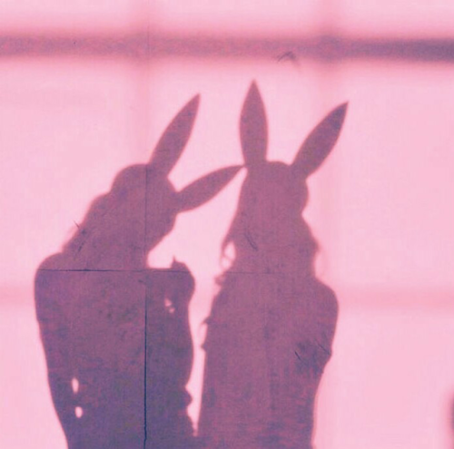 tumblr_p3t9naiikN1ul3b44o1_500