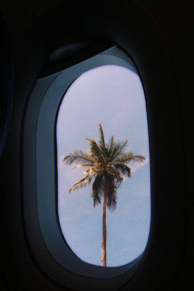 tumblr_024e241cb7d31ed7c6b27e3c00b1a61a_91368506_500