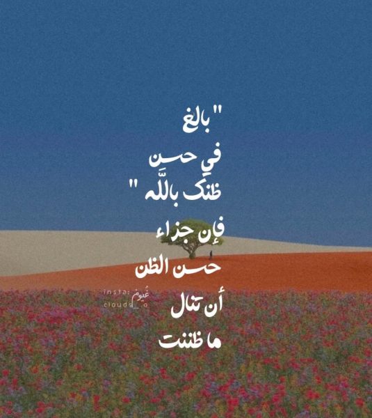 tumblr_ec7d6934752d9e0fa13ca6a53dcea212_8cf4dacc_1280